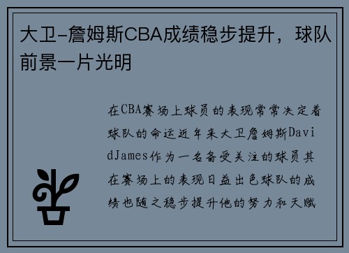大卫-詹姆斯CBA成绩稳步提升，球队前景一片光明